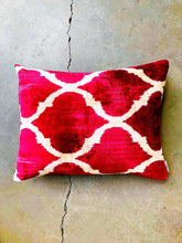 Load image into Gallery viewer, TURKISH VELVET PILLOW #492 On Sale!