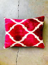 Load image into Gallery viewer, TURKISH VELVET PILLOW #492 On Sale!
